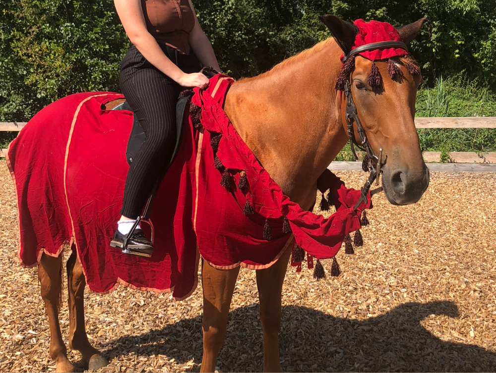 Costume pour cheval médiéval